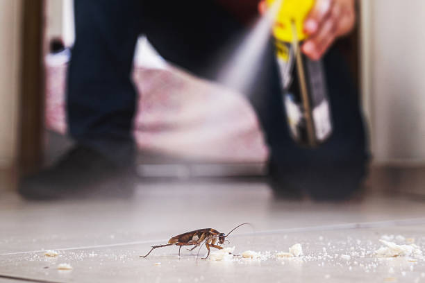 Best Best Pest Control Companies  in Folsom, NJ