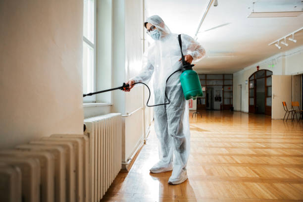 Best Cockroach Control Services  in Folsom, NJ