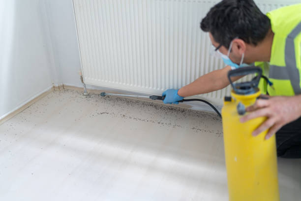 Best Emergency Pest Control  in Folsom, NJ